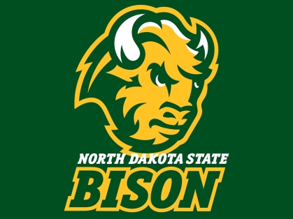 north_dakota_state_bison05